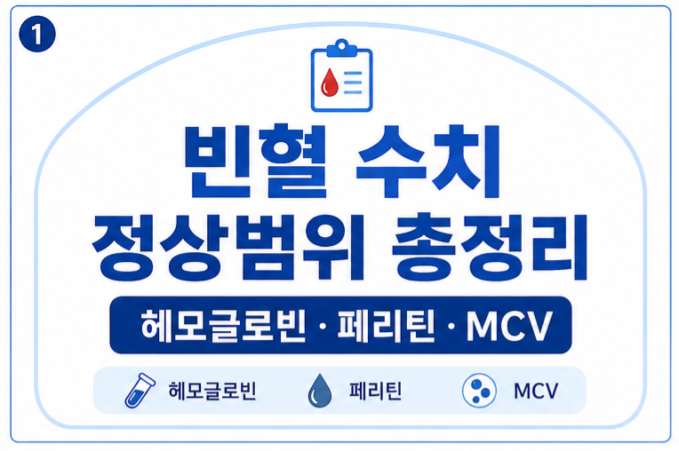 빈혈 수치 정상범위 헤모글로빈 페리틴 MCV