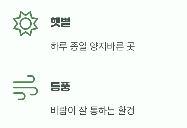 비결 3. 햇볕과 바람, 최고의 자리