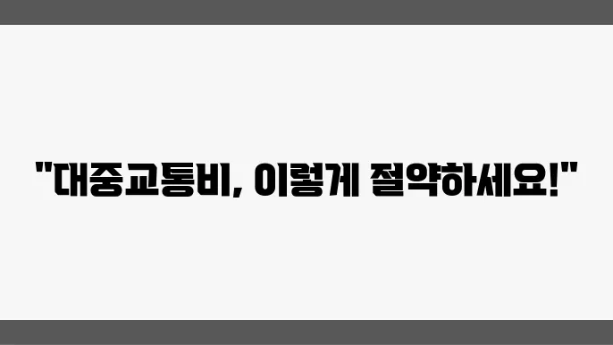 계층별 대중교통 지원 프로그램