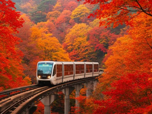 화담숲 모노레일 예약