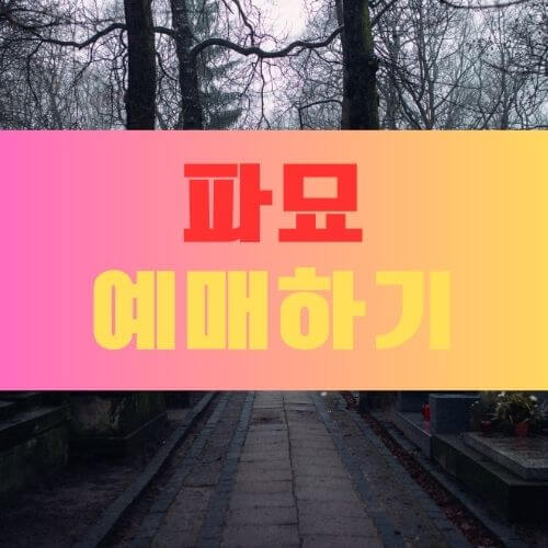 영화 파묘 예매하기