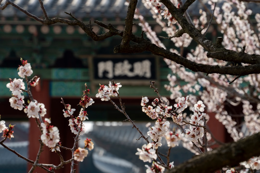 Changgyeonggung