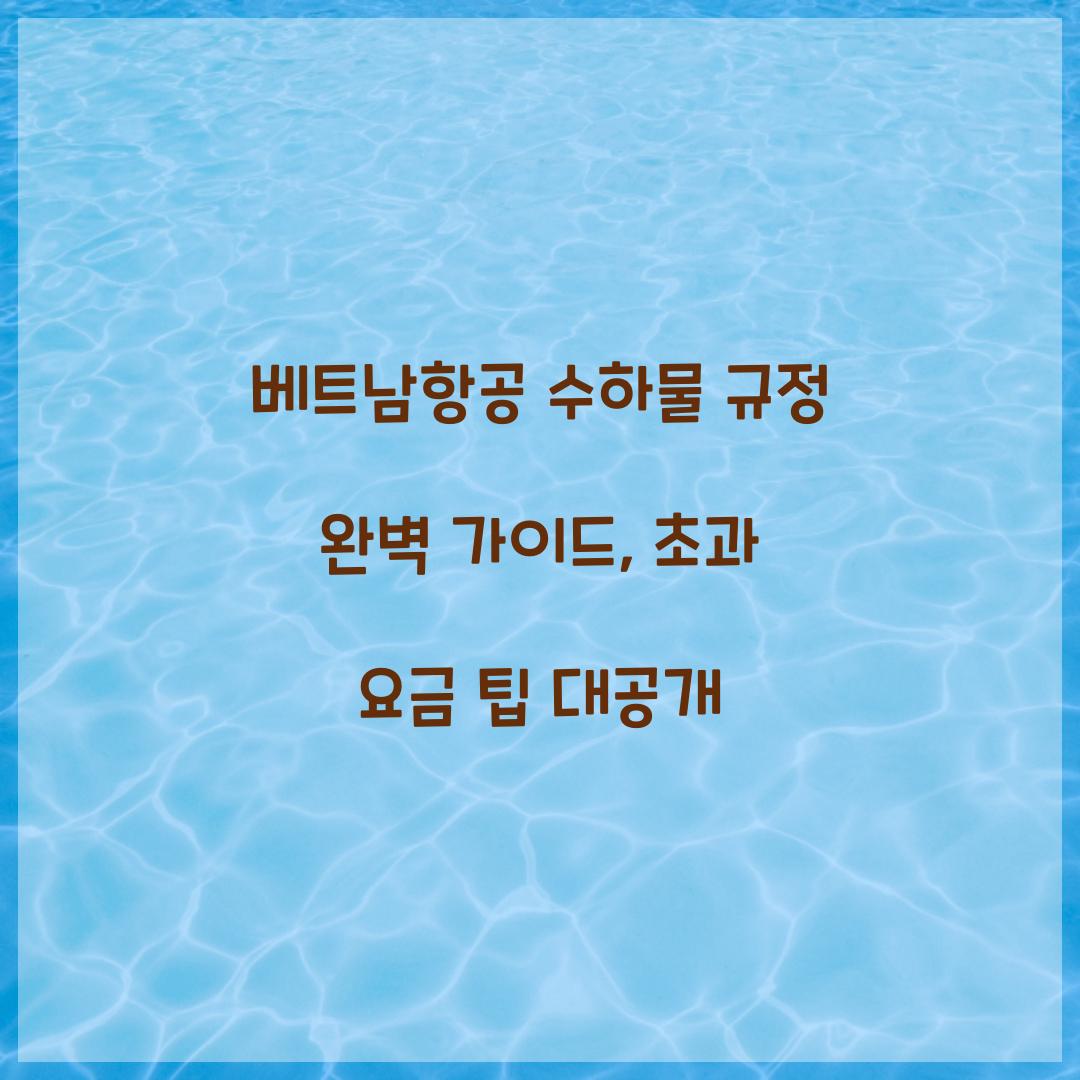 베트남항공 수하물 규정