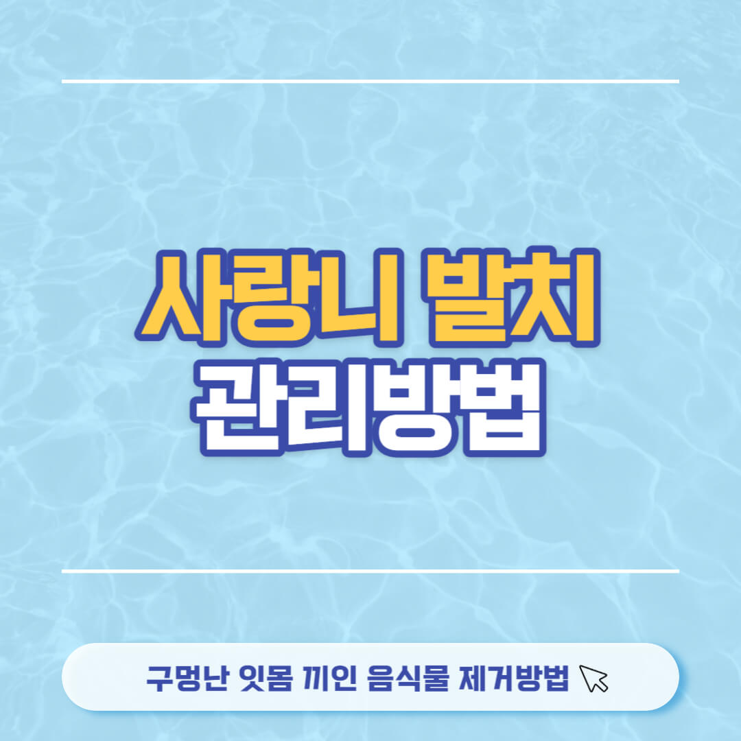 사랑니 발치후