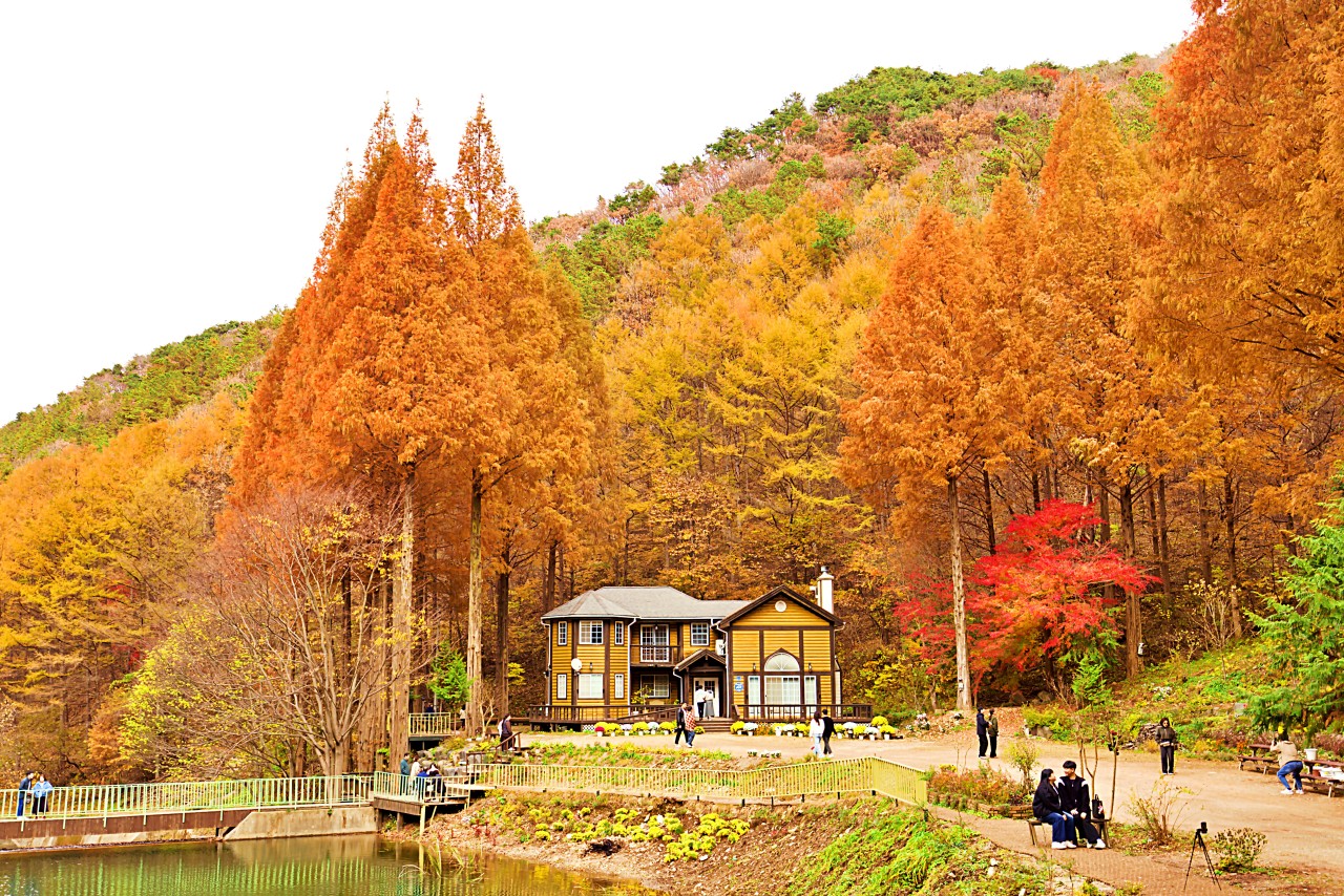 가을 온빛자연휴양림 사진