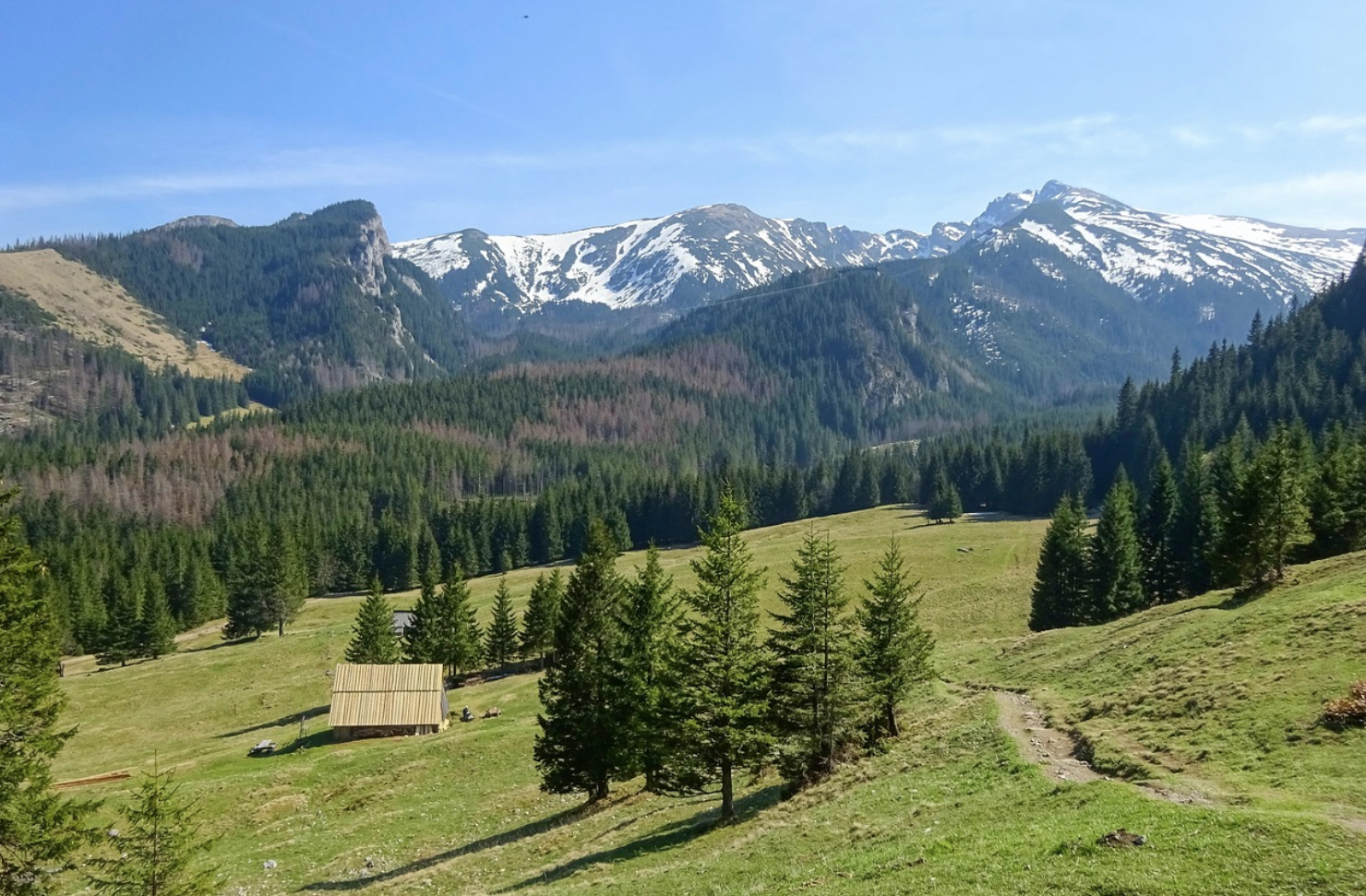 폴란드 초원 사진