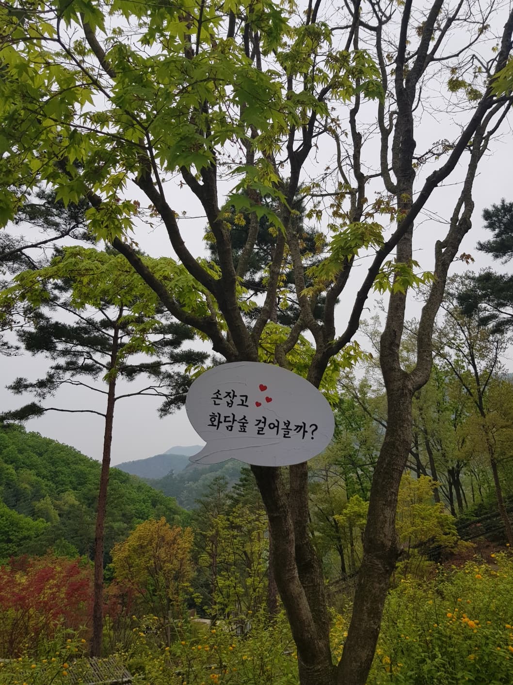 화담숲 예매하기