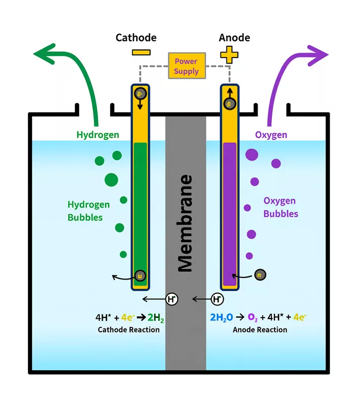 미생물연료전지 원리와 구조 : 친환경 에너지의 미래를 밝히다
