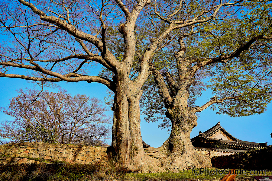 해남-두륜산-대흥사-PhotoGuide.com-포토가이드