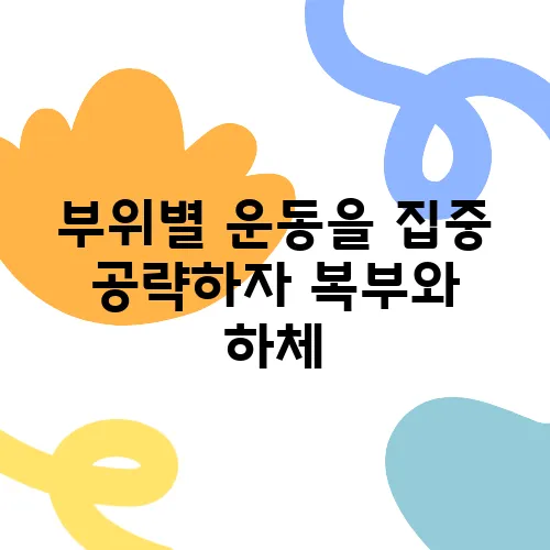부위별 운동을 집중 공략하자 복부와 하체, 등도 포함하여.