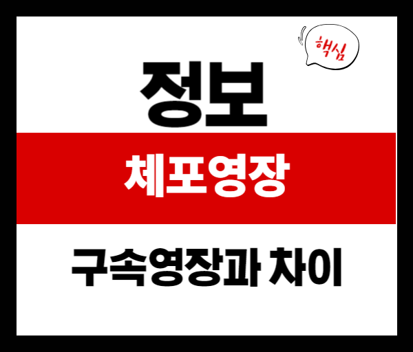 체포영장 기각 후 소환 일정까지: 윤석열 전 대통령 사건 흐름 총정리