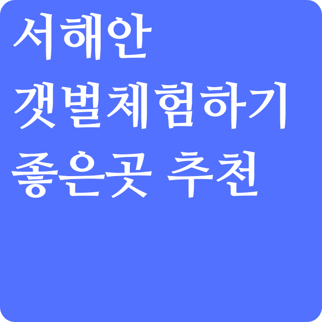 서해안 갯벌체험하기 좋은곳 추천