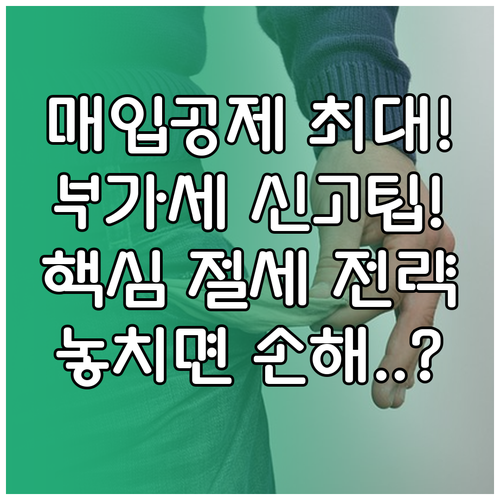 매입 세액 공제 극대화 부가세 신고 ..