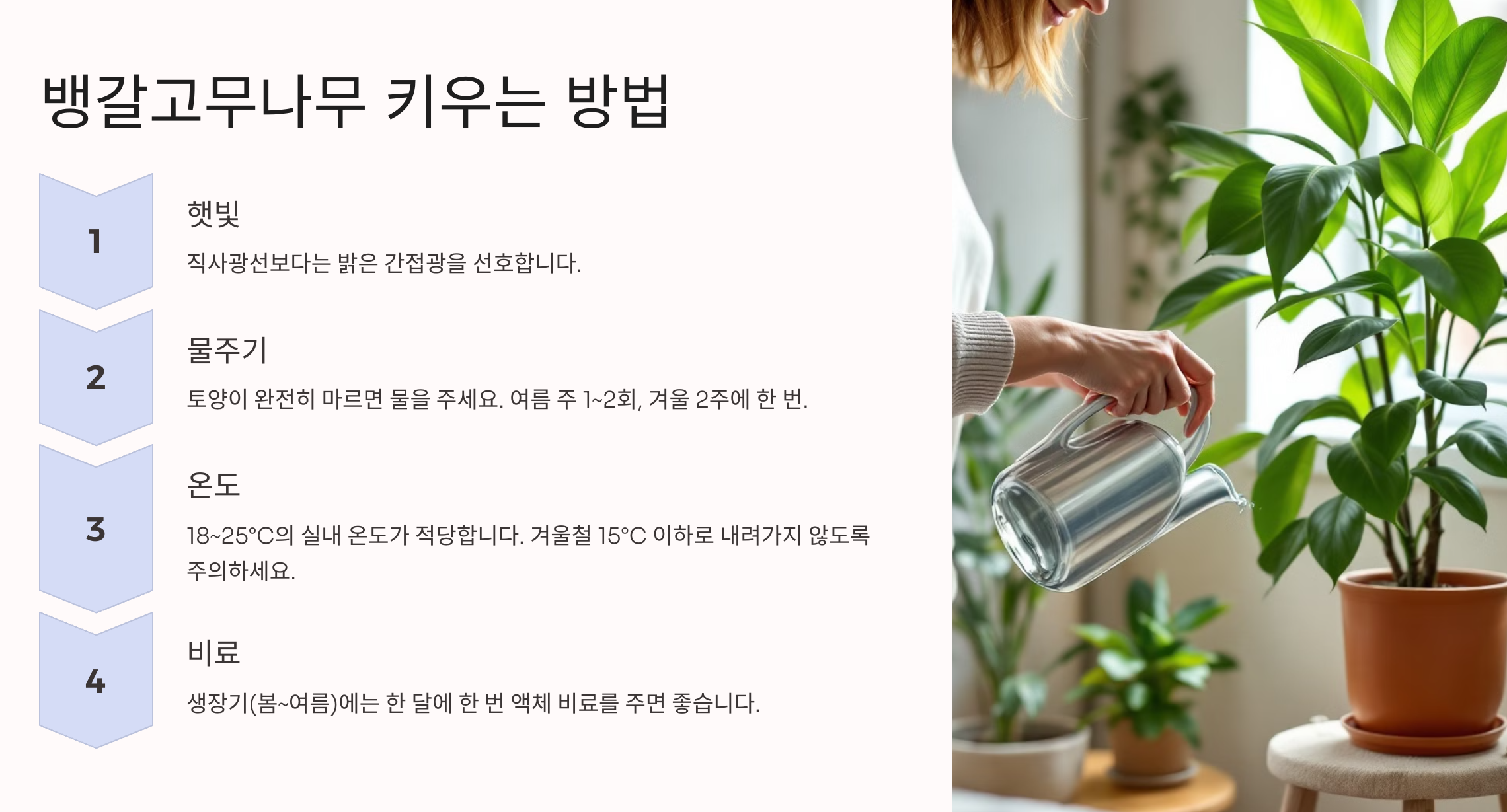 나무키우는 사진