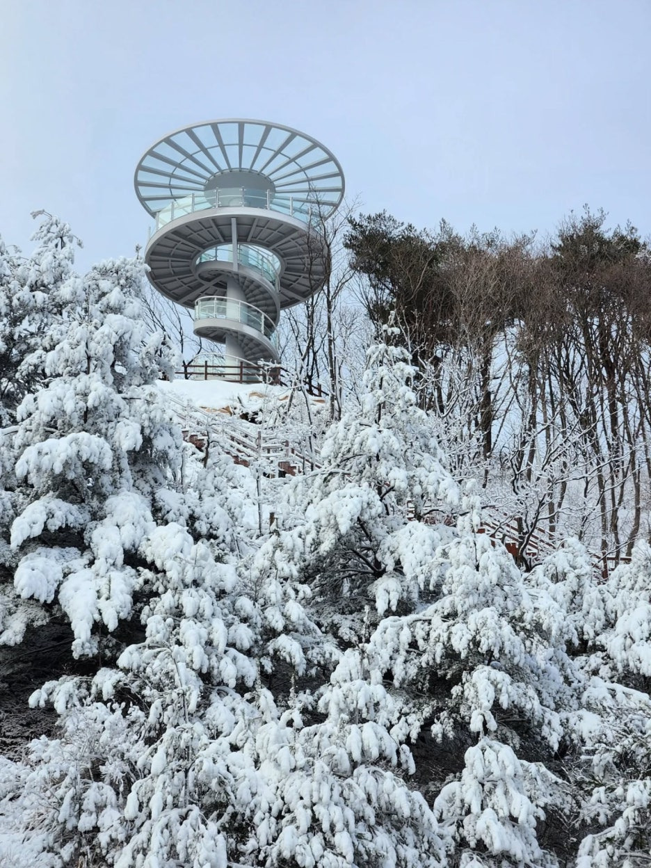 충북 영동 도마령 겨울 드라이브 명소의 재발견