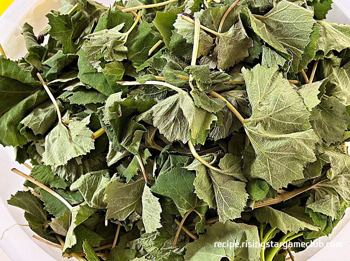 손질된 머위의 사진