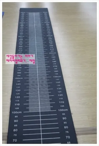 멀리뛰기 세계신기록 최신정리_20