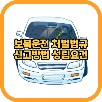 보복운전 처벌법규 신고방법 성립요건