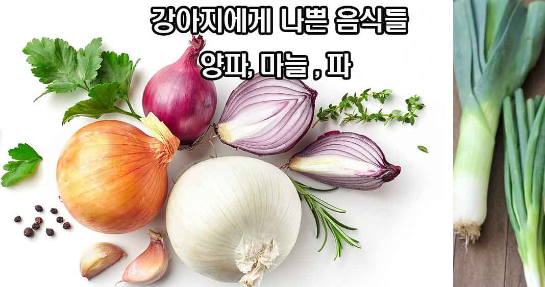 강아지에게 나쁜 음식들, 강아지에게 해로운 음식들