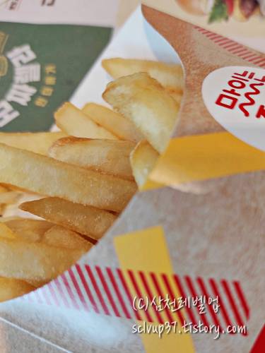 롯데리아 치즈no.5 햄버거 세트 메뉴의 감자튀김