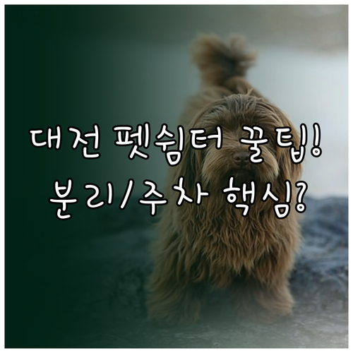 대전 갑천 펫쉼터 위치 주차 안내 소..