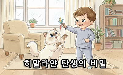 히말라얀 탄생의 비밀