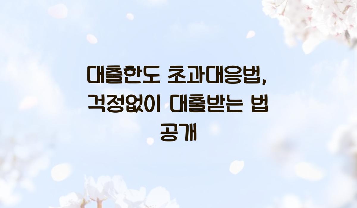 대출한도 초과대응법