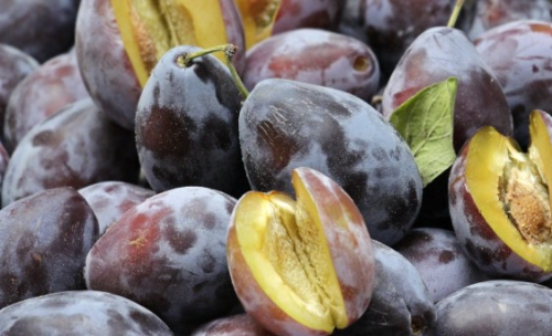 푸룬의 효능 및 보관 방법