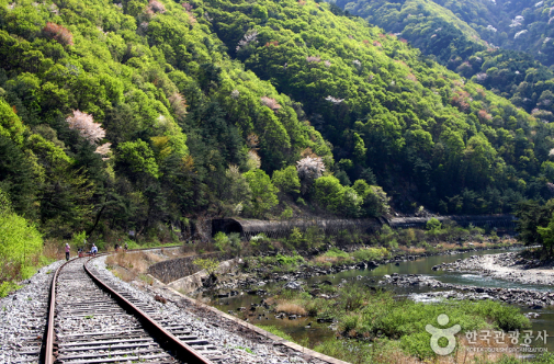 문경철로자전거진남역