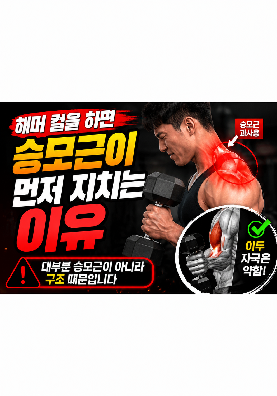 해머 컬을 하면 승모근이 먼저 지치는 이유