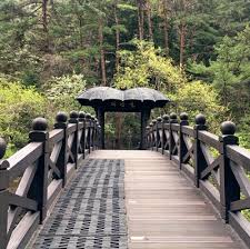 삼척 관광지 사진