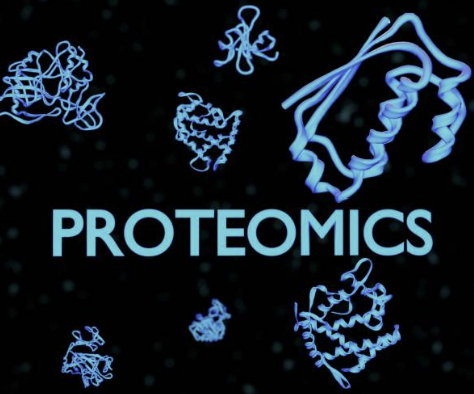 Shotgun Proteomics에서 재현성이 무너지는 진짜 이유