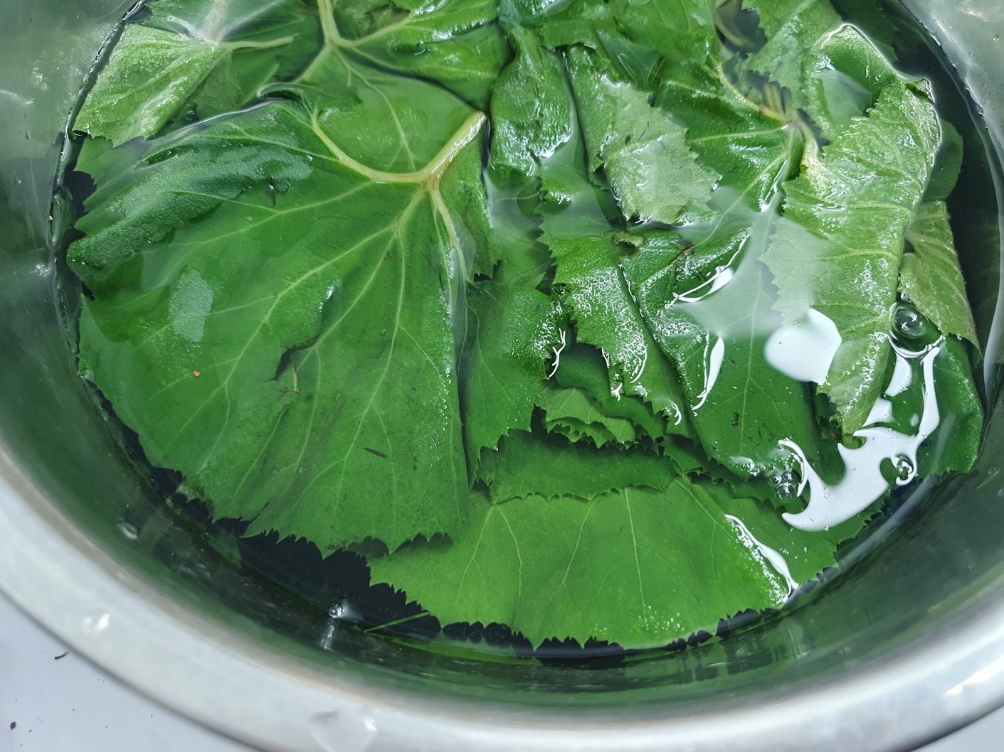 머위나물 장아찌 담는법