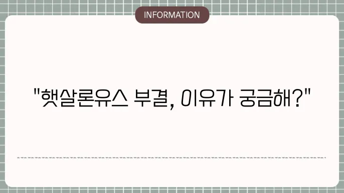 햇살론유스 추가대출 부결 이유와 재신청 방법