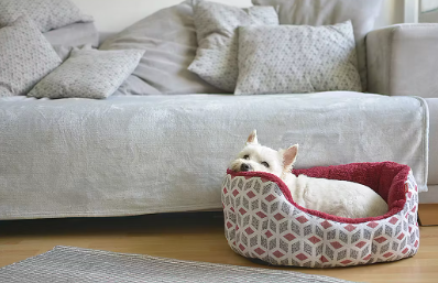 벼룩진드기 기생충의 서식처.