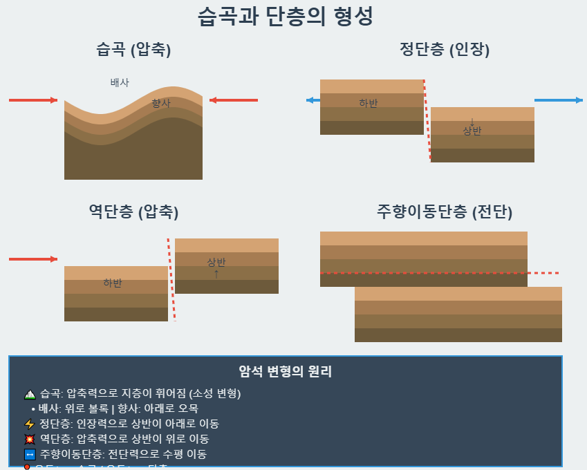 습곡의 형성과 종류