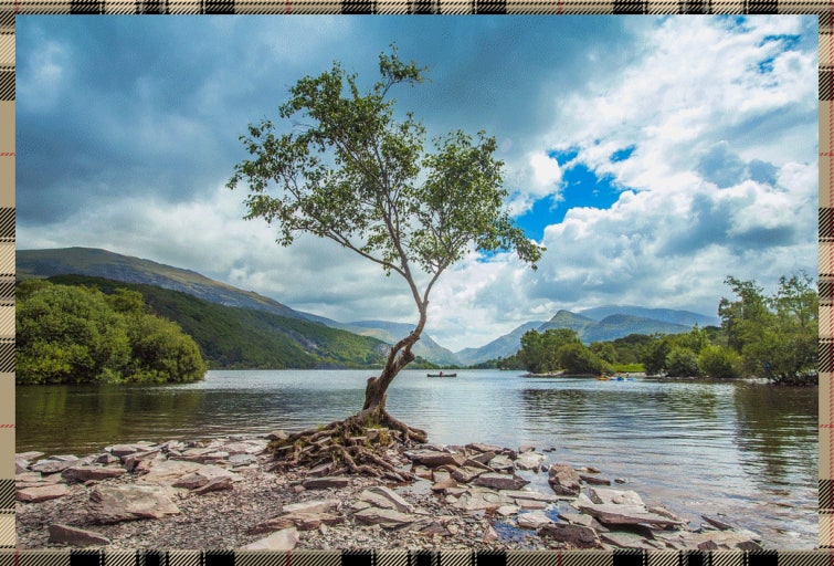 심리적 안정이 건강에 미치는 영향