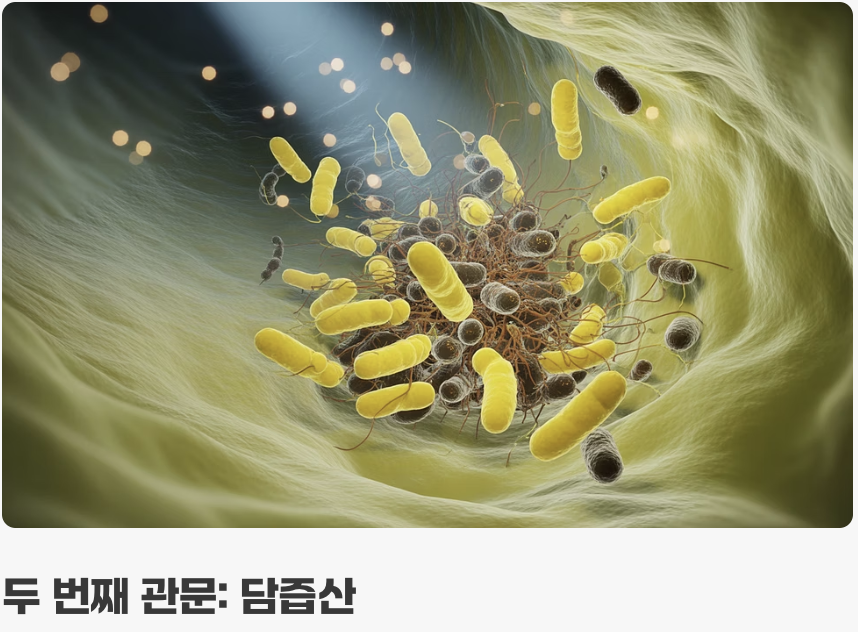 우리 유산균의 위험한 여정