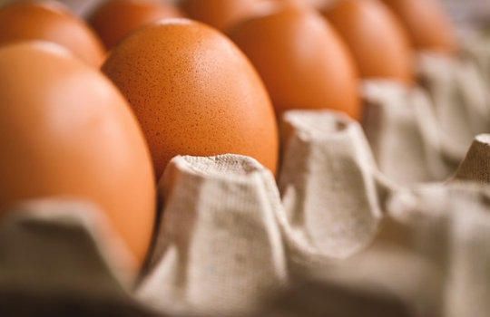 계란, 몸에 좋은 보물일까? 건강에 관한 모든 진실과 오해