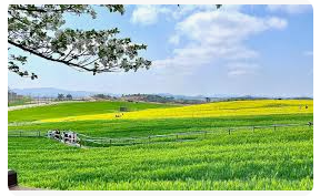 폭싹 속았수다 - 고창 학원농장 입장료