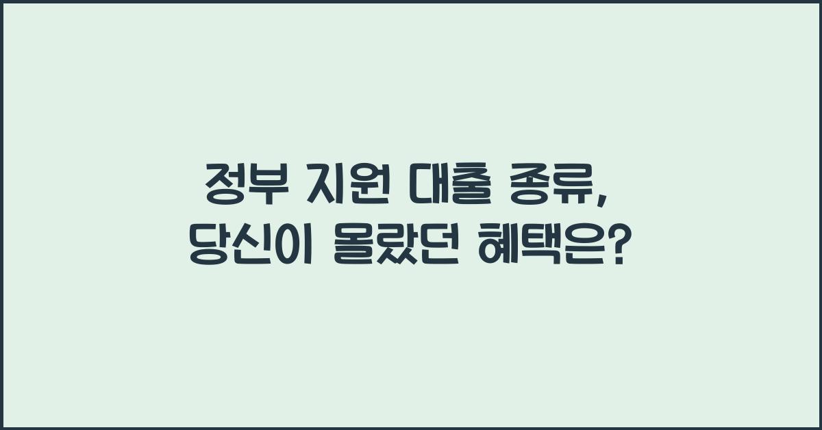 정부 지원 대출 종류