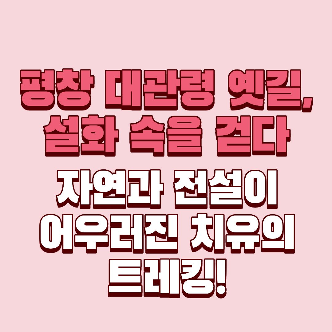 평창 대관령 옛길
