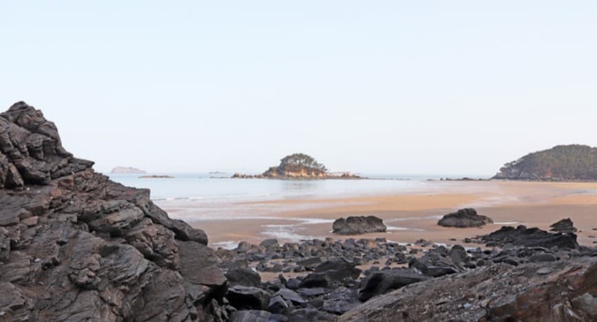 2025 태안 봄꽃정원&amp;#44; 봄날의 낭만을 만나는 곳!!