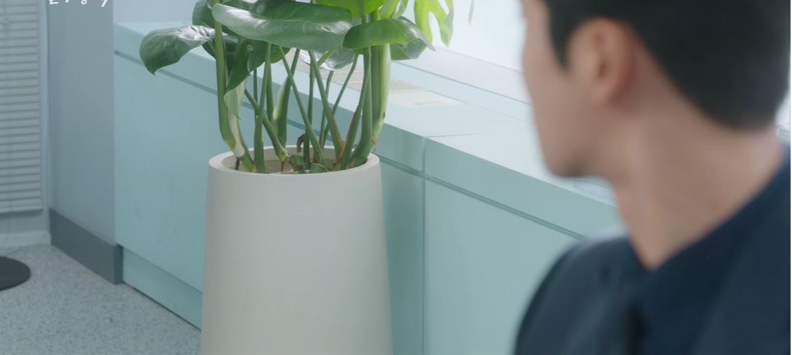 이연애는불가항력_11회