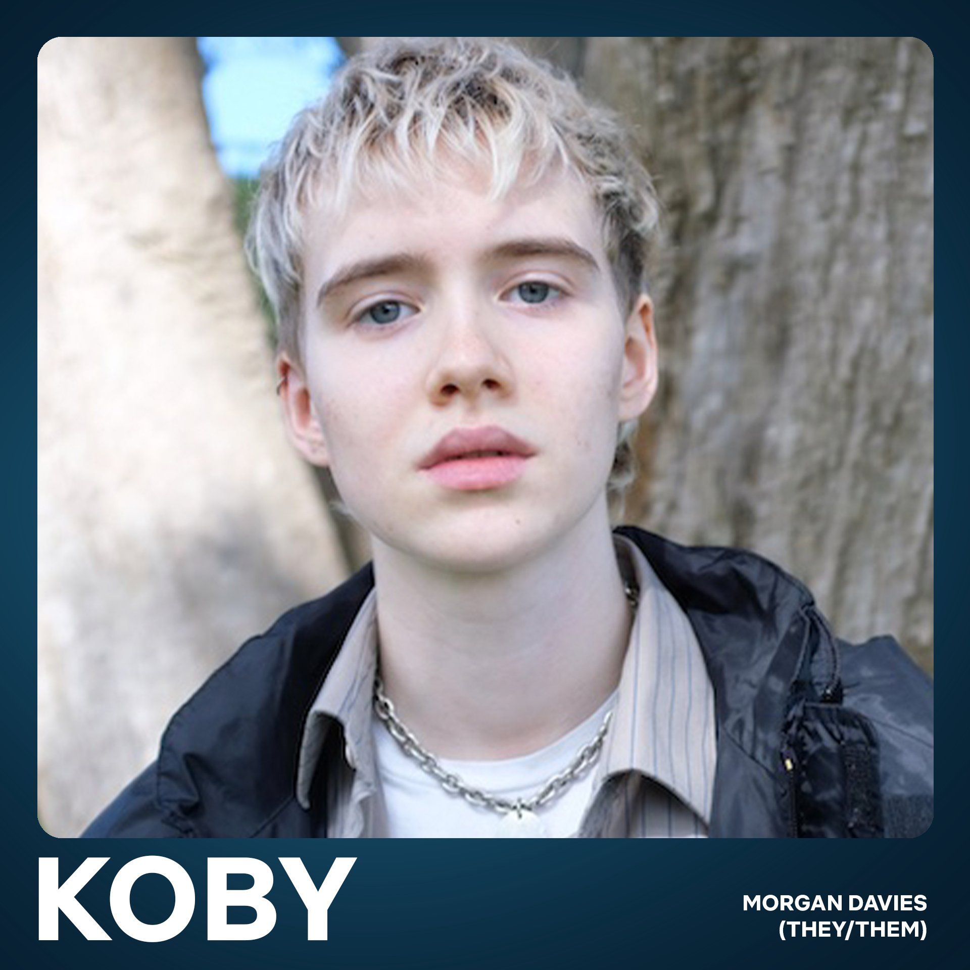 넷플릭스원피스