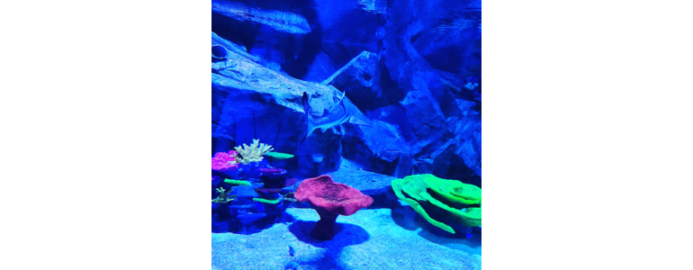 목포시 도배공사