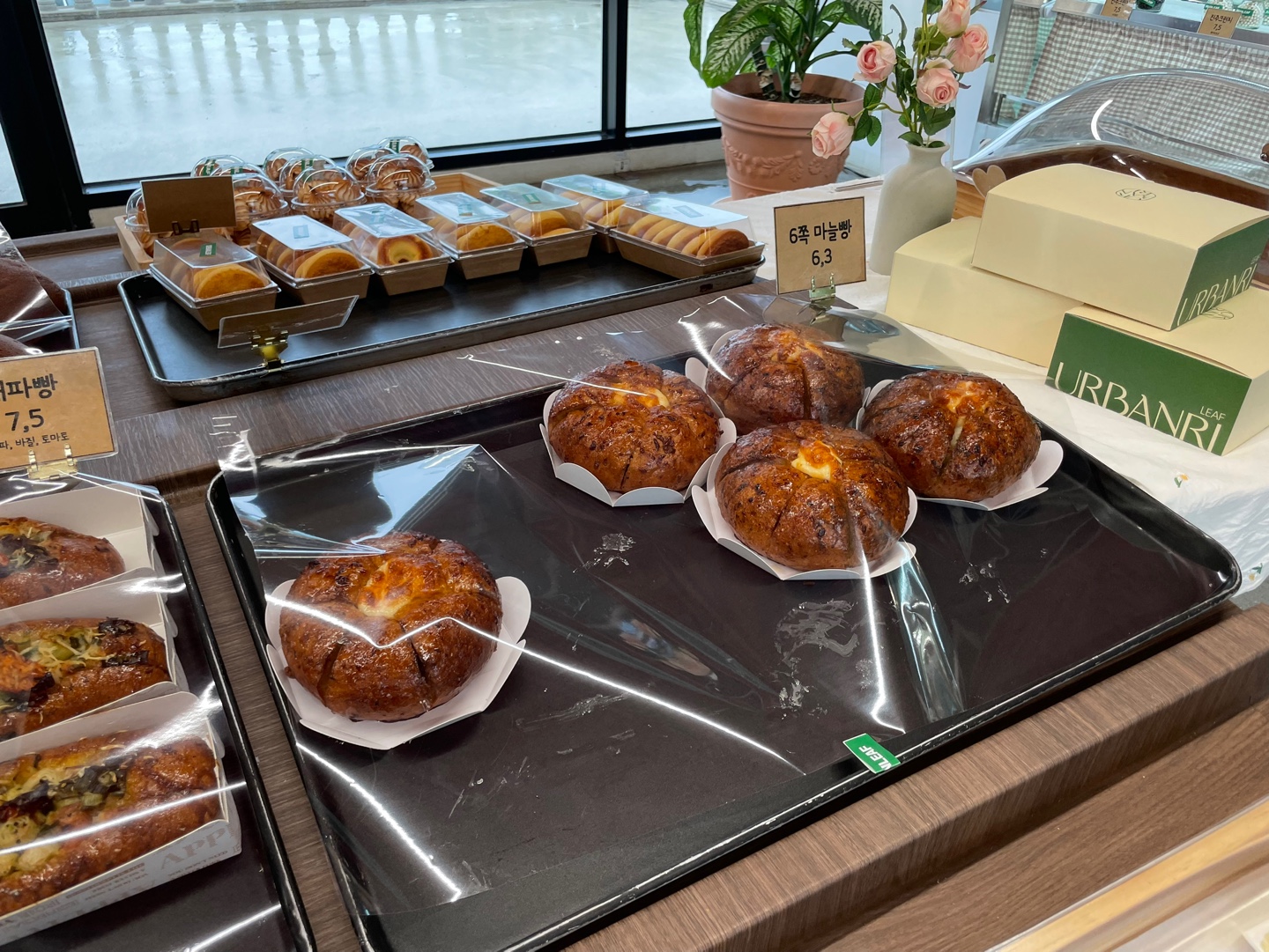 용인 식물원 베이커리 카페 어반리프