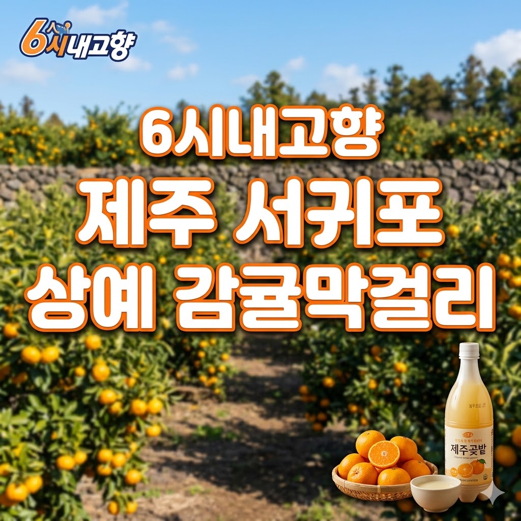 6시내고향 제주 서귀포 상예 감귤막걸리