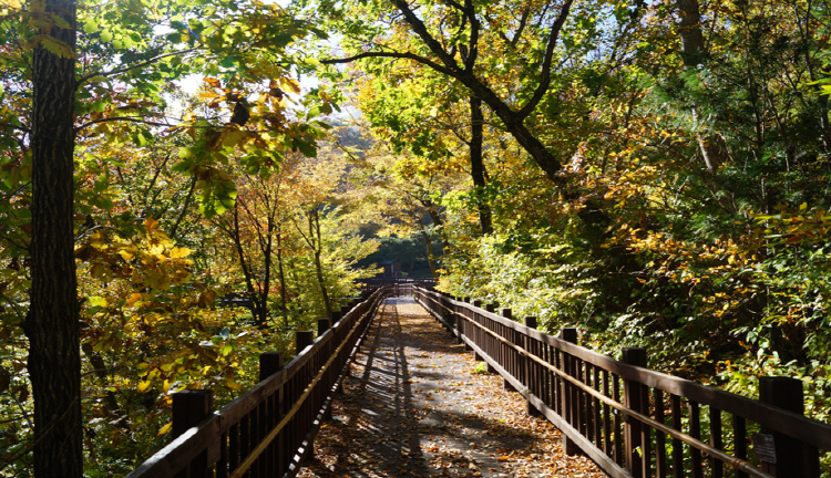 운문산 자연휴양림