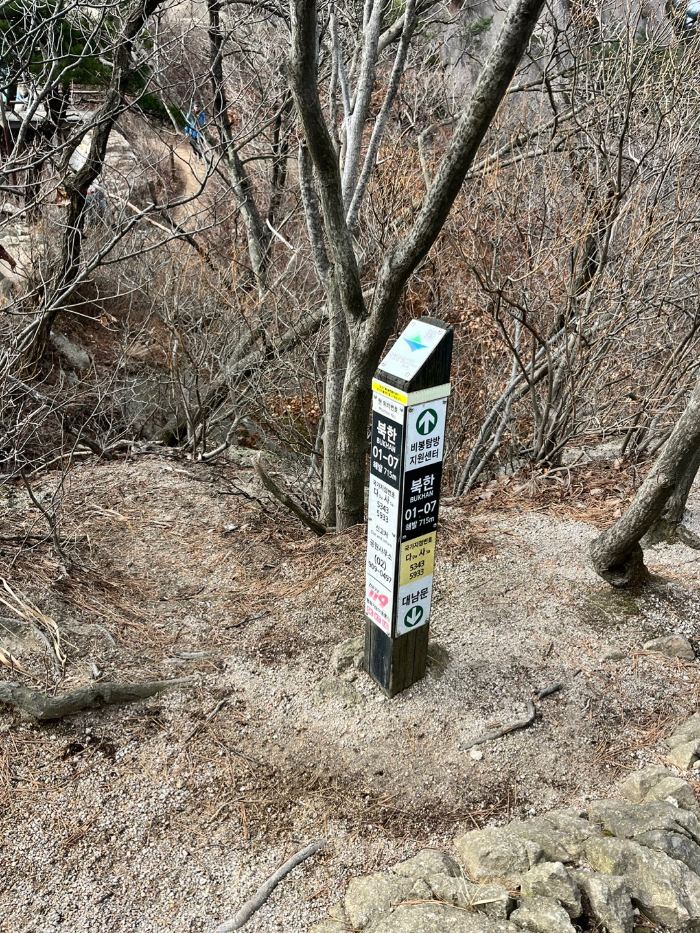 대남문 내려가는 길